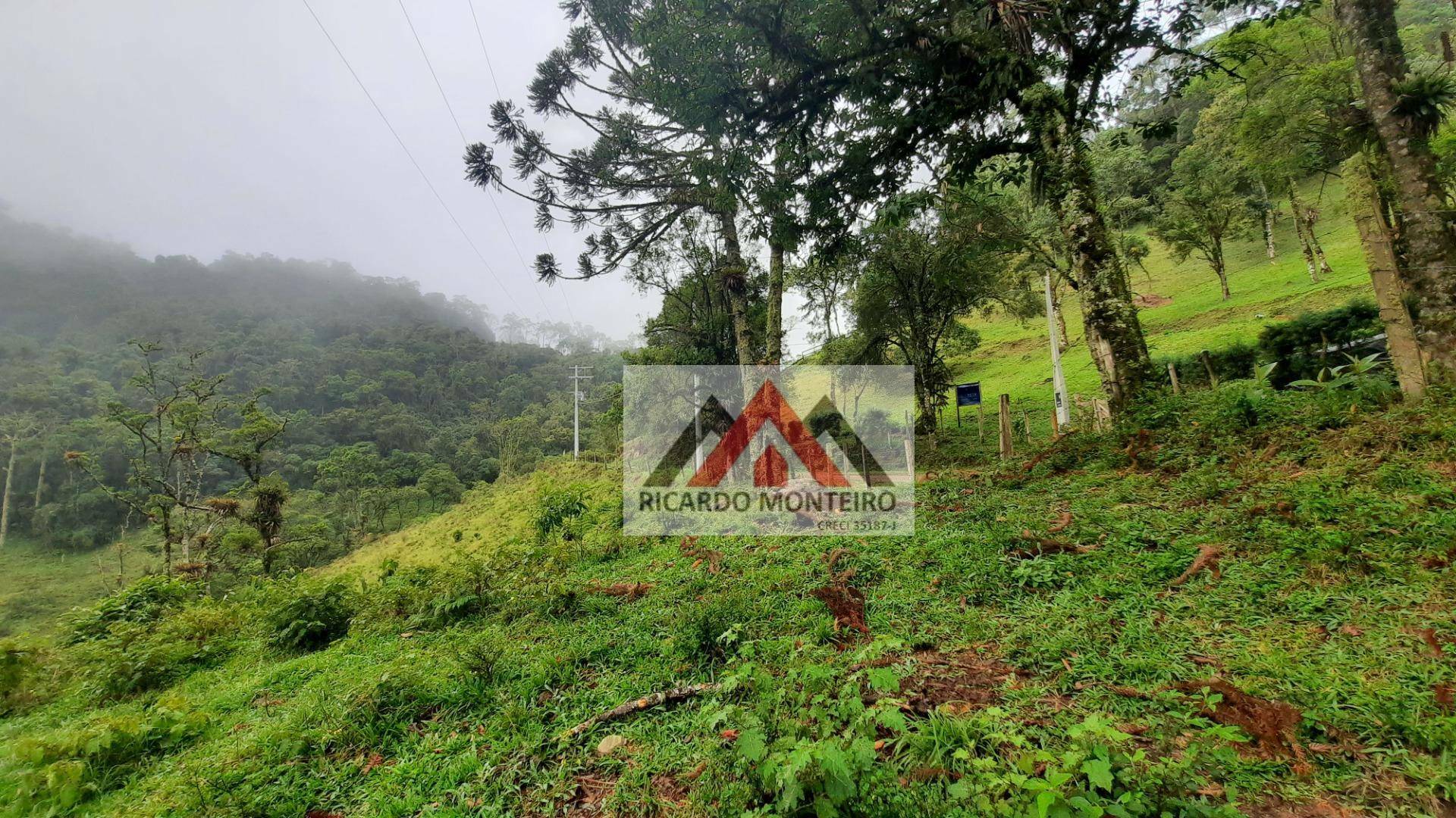 Fazenda à venda, 822800M2 - Foto 6