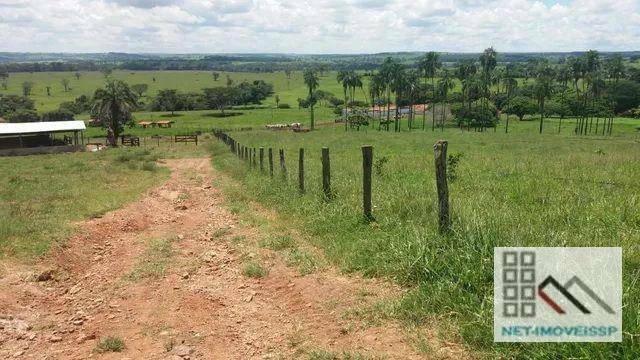 Fazenda à venda com 5 quartos, 500m² - Foto 4