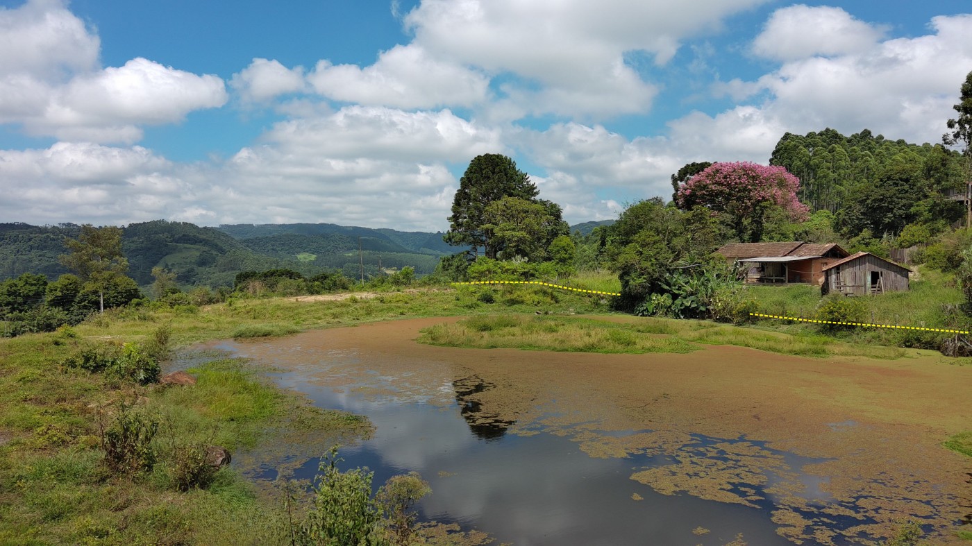 Chácara à venda, 10000m² - Foto 14
