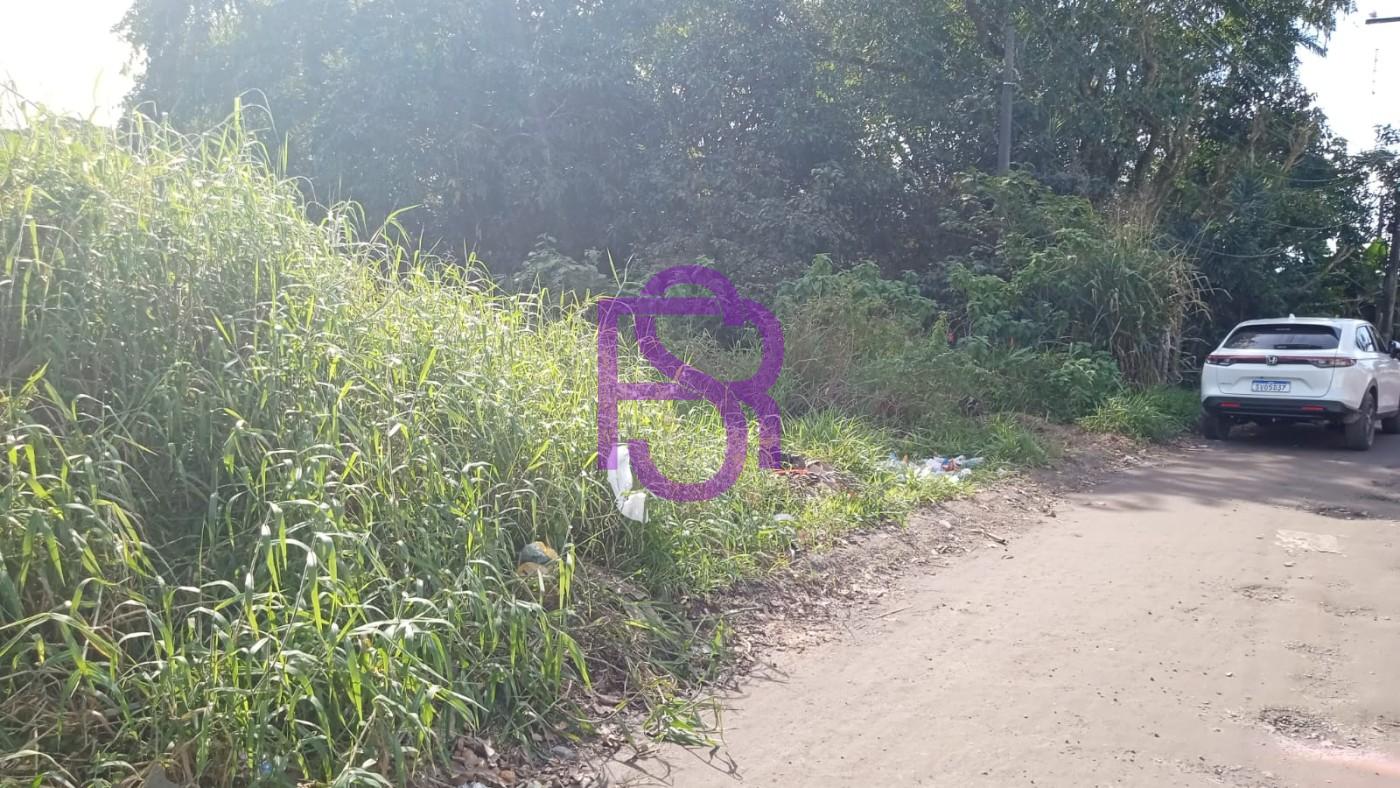 Chácara, 3 quartos, 1495 m² - Foto 24