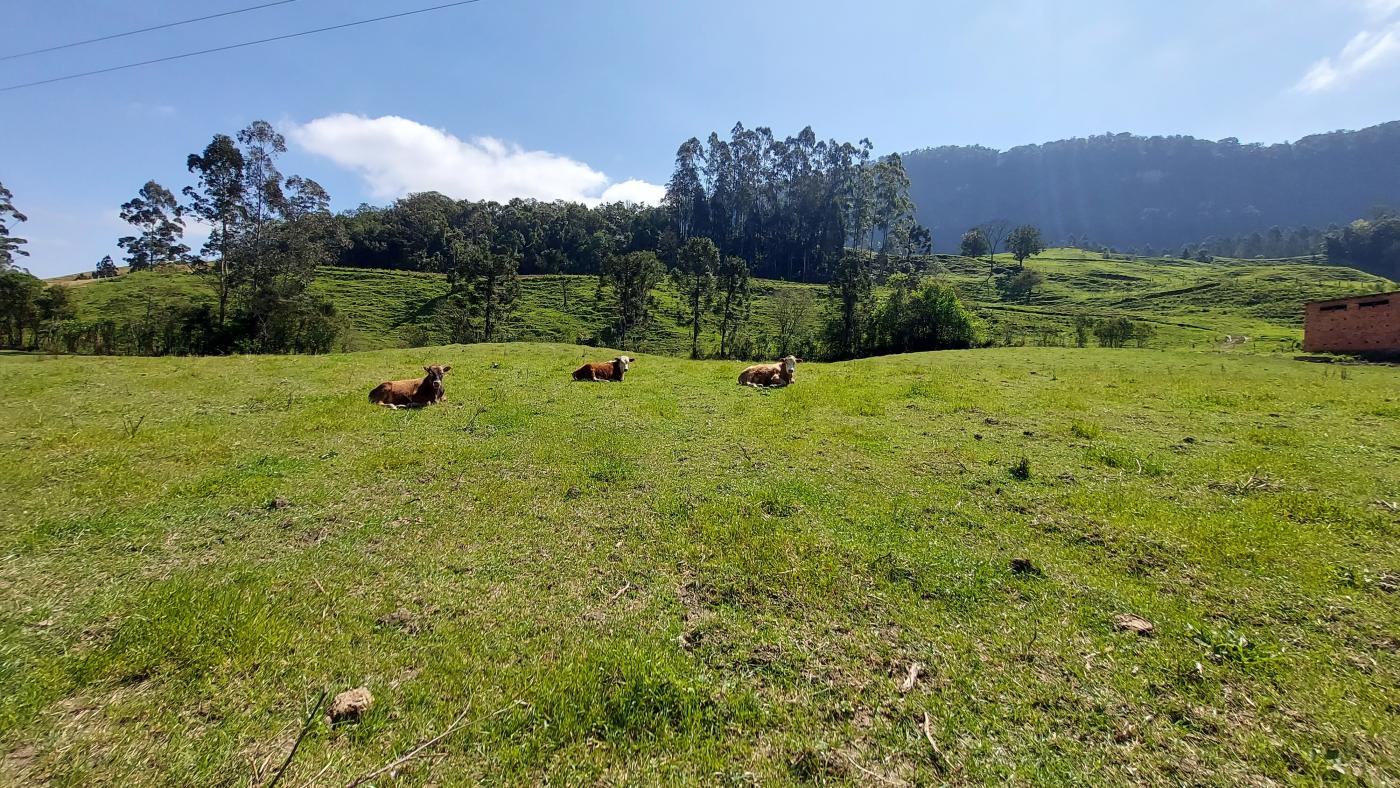 Fazenda à venda com 4 quartos, 101500m² - Foto 18