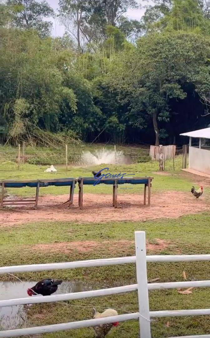 Sítio à venda com 1 quarto, 10000M2 - Foto 18