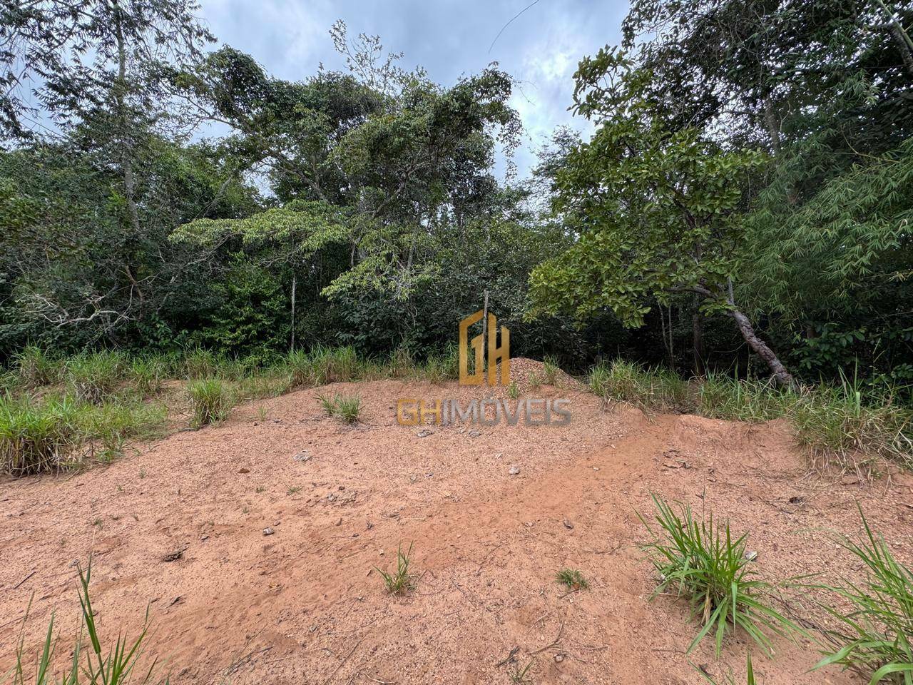 Fazenda à venda, 48400M2 - Foto 15