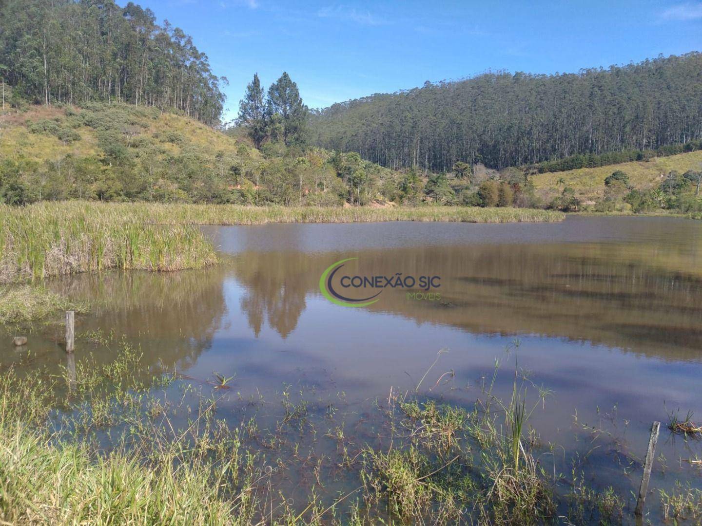 Fazenda à venda com 3 quartos, 1452000M2 - Foto 20