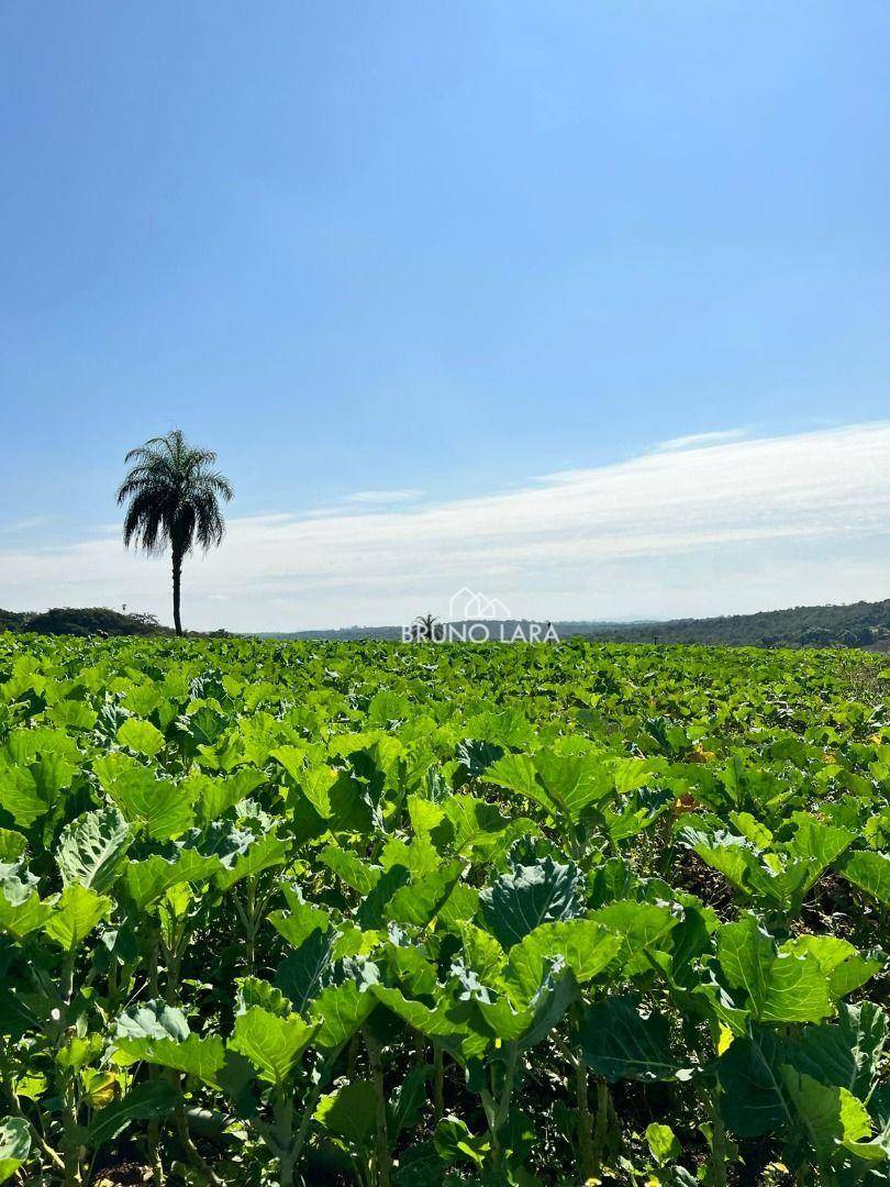 Fazenda à venda com 6 quartos, 1200m² - Foto 12