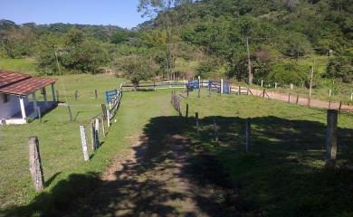 Fazenda à venda com 3 quartos, 40000m² - Foto 2