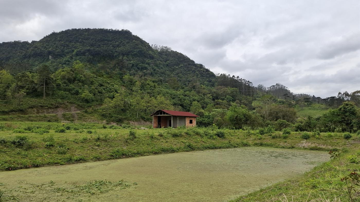 Fazenda à venda com 1 quarto, 10000m² - Foto 28