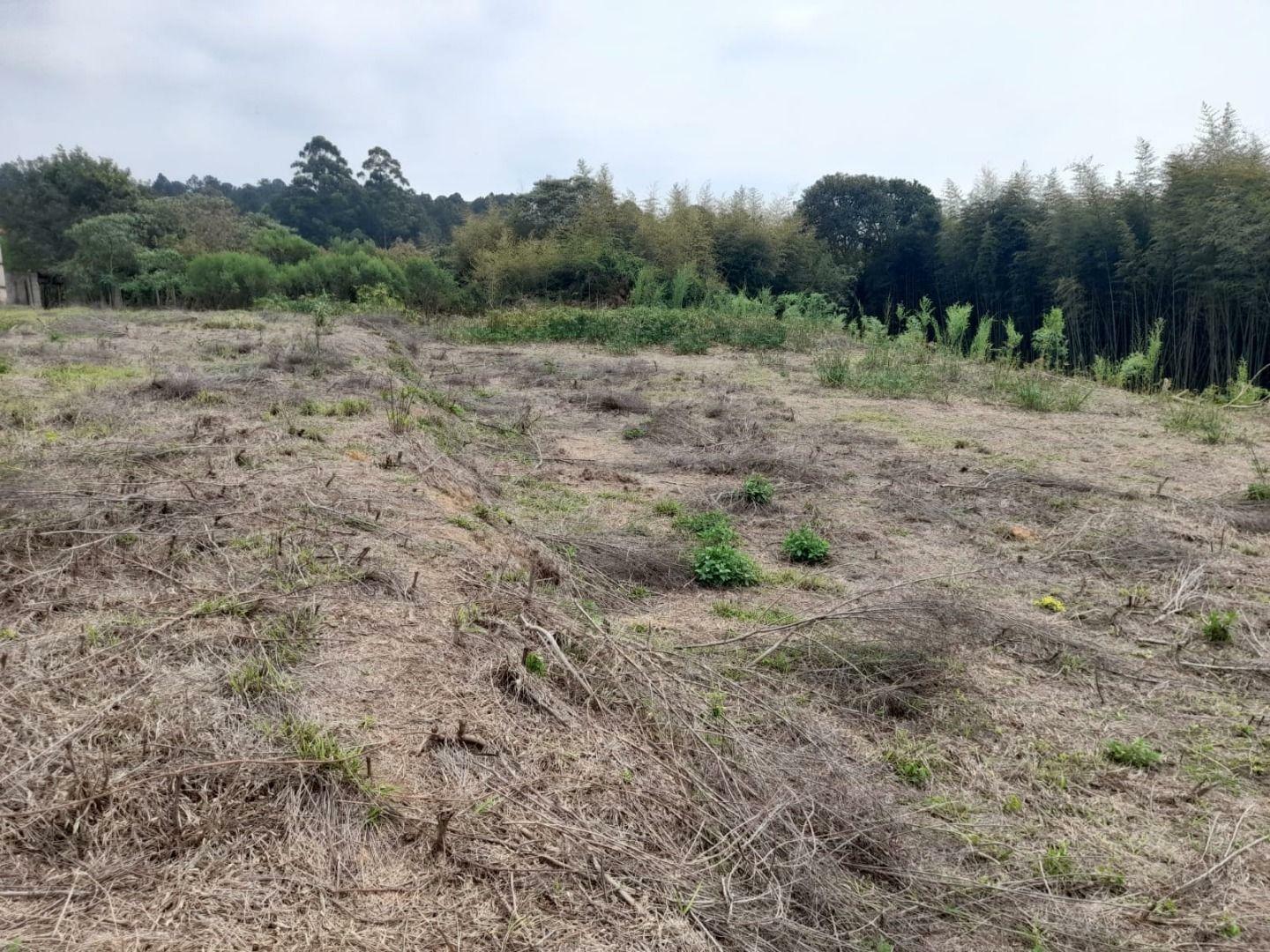 Terreno à venda, 2460M2 - Foto 13