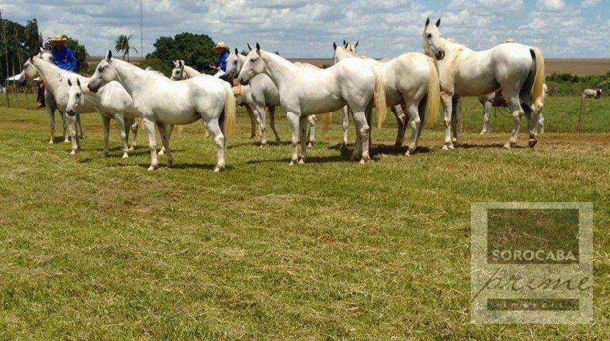 Fazenda à venda, 780000000M2 - Foto 7