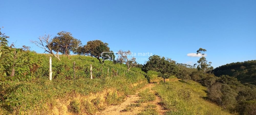 Fazenda à venda com 4 quartos, 72m² - Foto 23