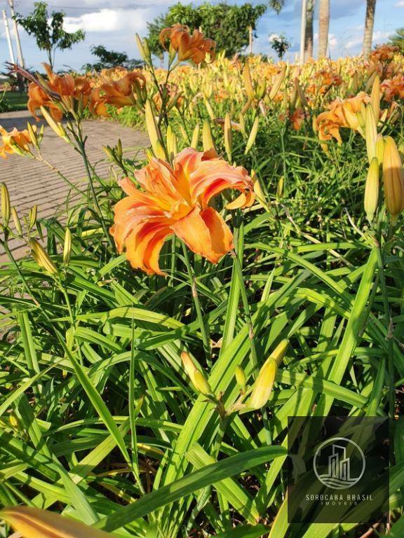 Loteamento e Condomínio à venda, 1000M2 - Foto 2