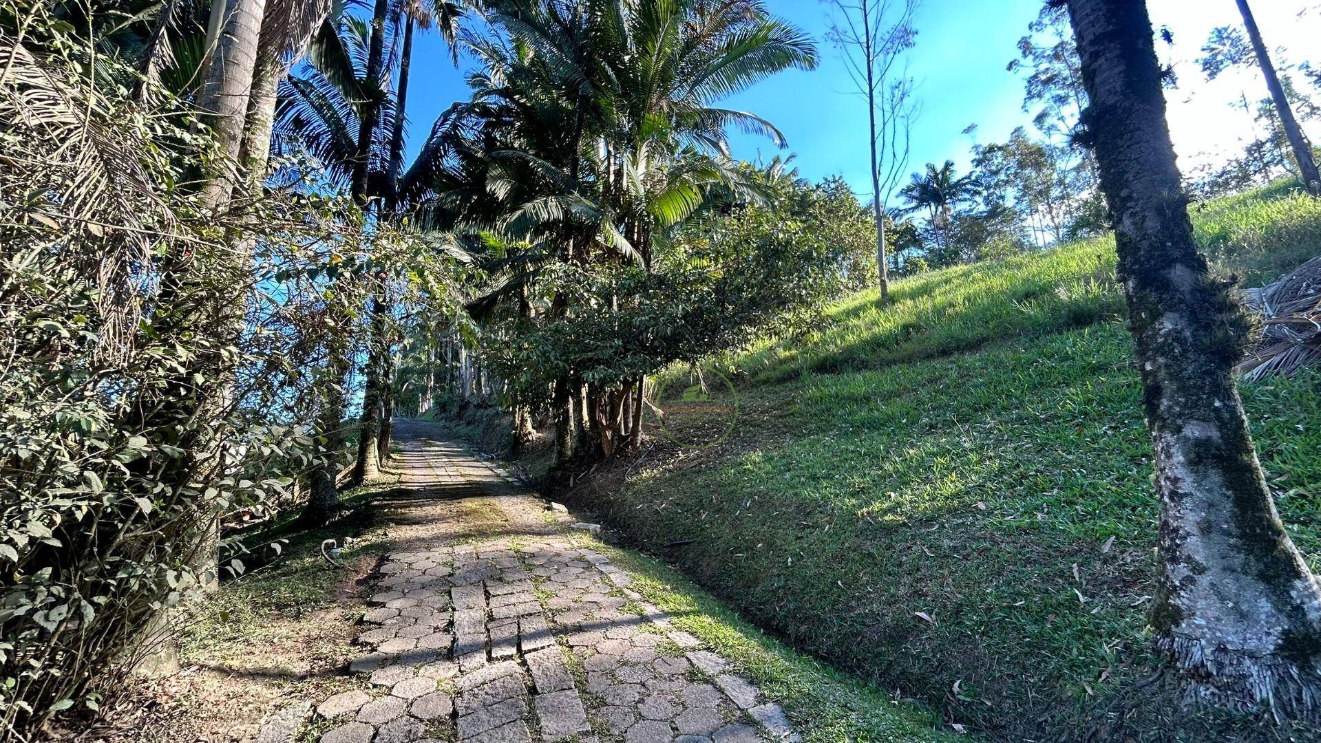 Sítio, 3 hectares - Foto 7