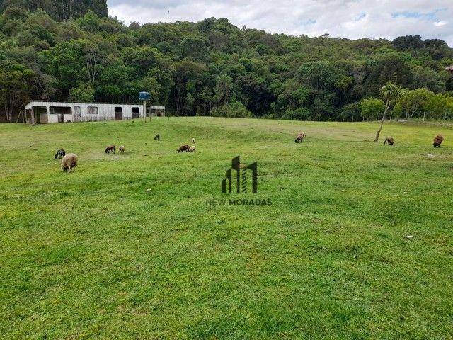 Chácara à venda com 2 quartos, 100m² - Foto 17