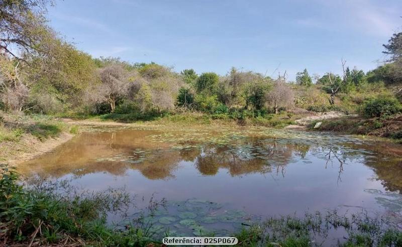 Fazenda à venda com 2 quartos, 100000m² - Foto 2