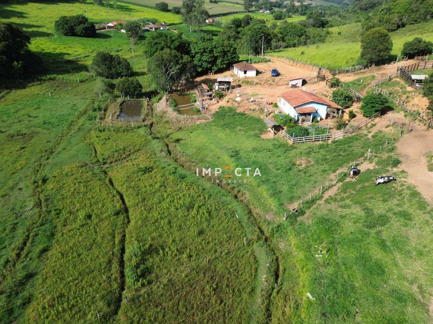 Chácara à venda com 2 quartos, 2000M2 - Foto 3