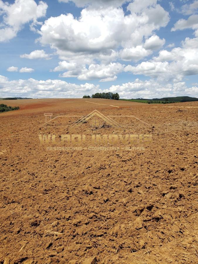 Fazenda à venda, 330m² - Foto 9