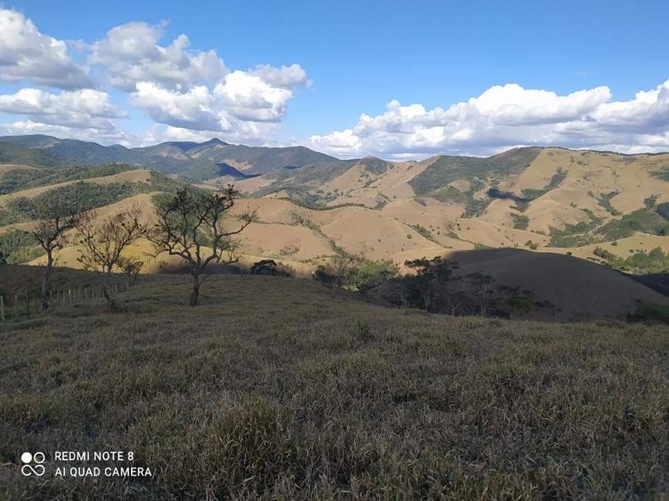 Terreno, 6 hectares - Foto 14