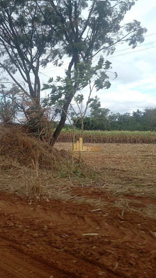 Fazenda à venda, 2178000M2 - Foto 6