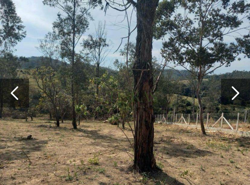 Loteamento e Condomínio à venda, 4894M2 - Foto 9