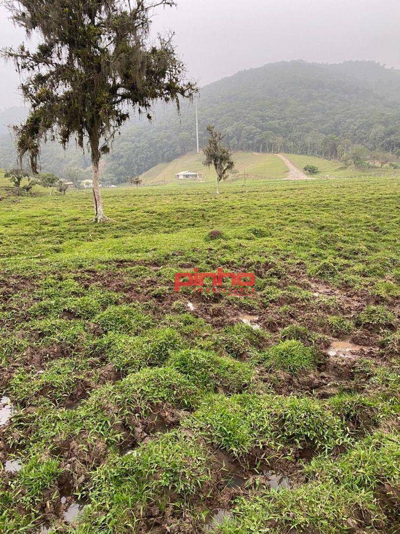 Terreno à venda, 7500M2 - Foto 2