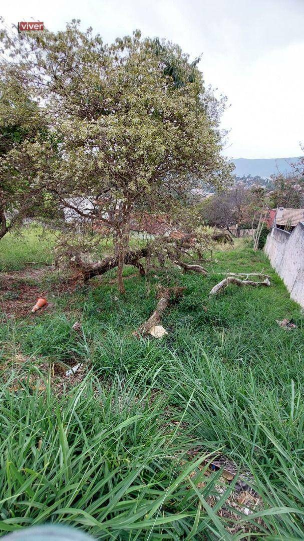 Terreno à venda, 372M2 - Foto 2