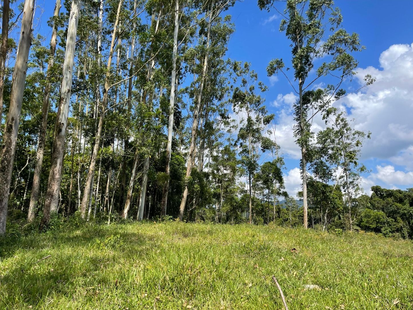 Terreno à venda, 55000M2 - Foto 1