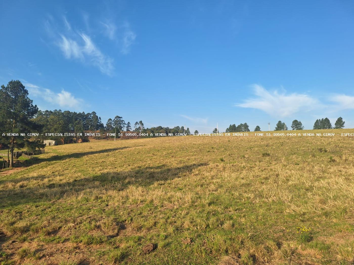 Fazenda à venda com 4 quartos, 80000m² - Foto 47