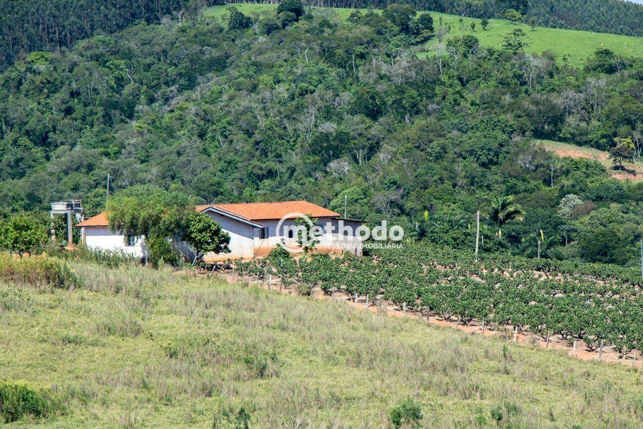 Terreno à venda, 56785M2 - Foto 13