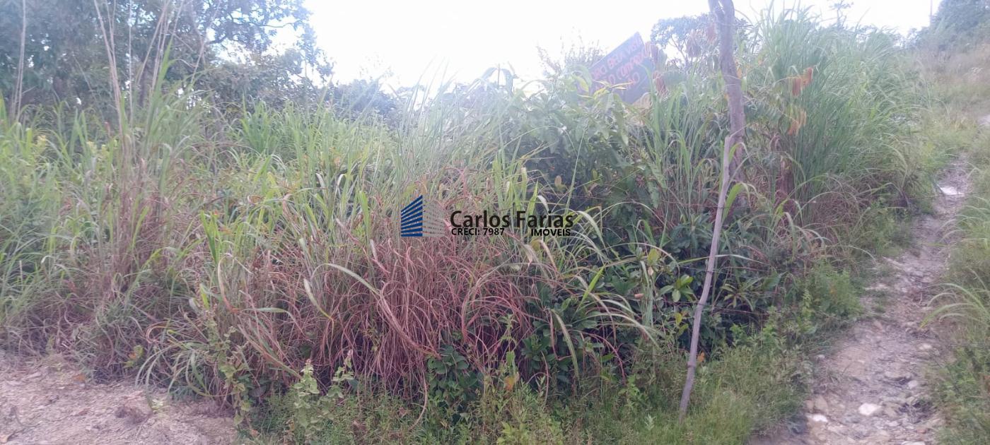 Chácara à venda, 20000m² - Foto 15