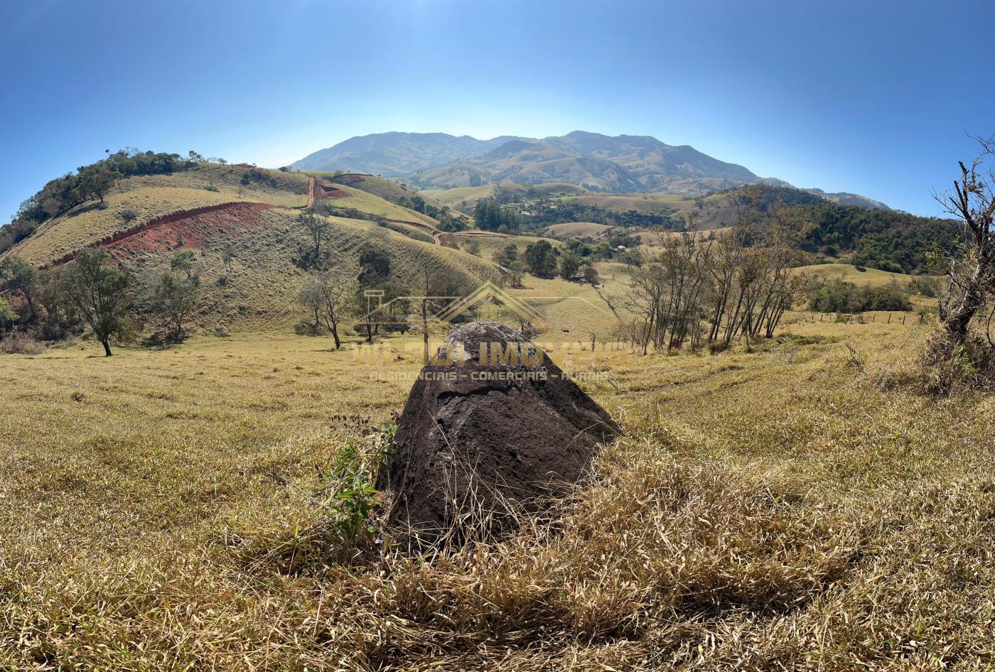 Terreno à venda, 20000m² - Foto 8