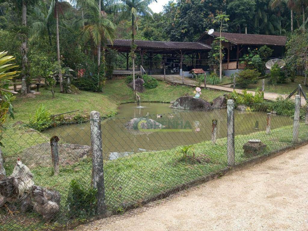 Sítio à venda com 2 quartos, 1800M2 - Foto 7