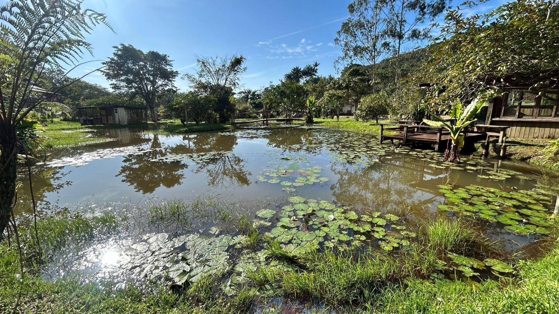 Sítio, 24 m² - Foto 5