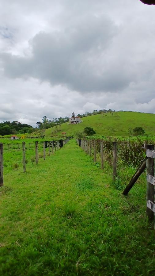 Fazenda à venda com 4 quartos, 19m² - Foto 8