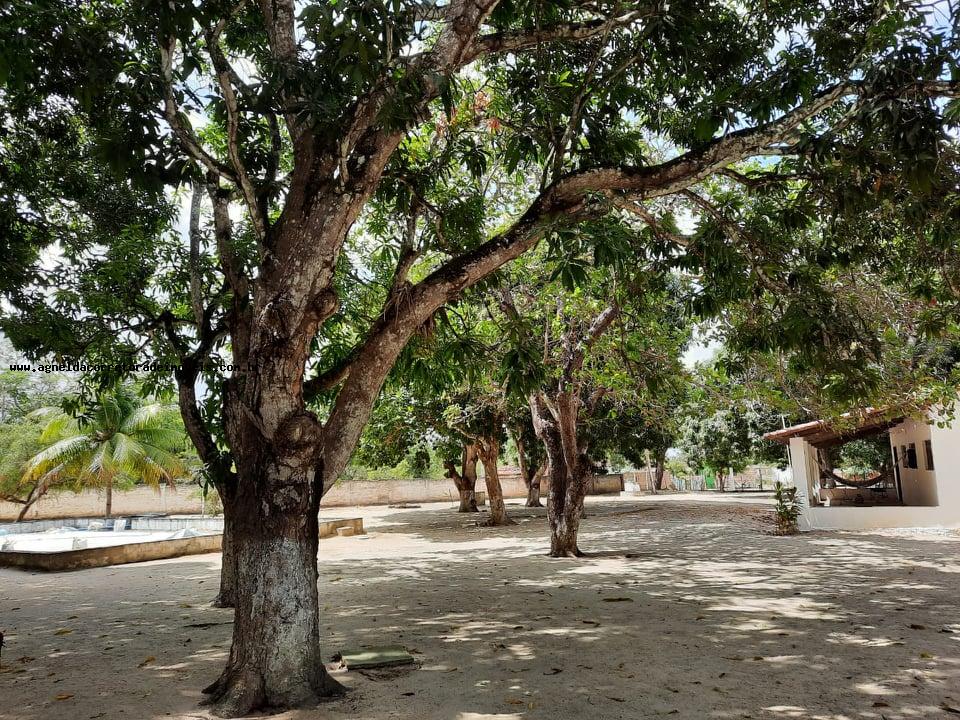 Fazenda à venda com 2 quartos, 14m² - Foto 10