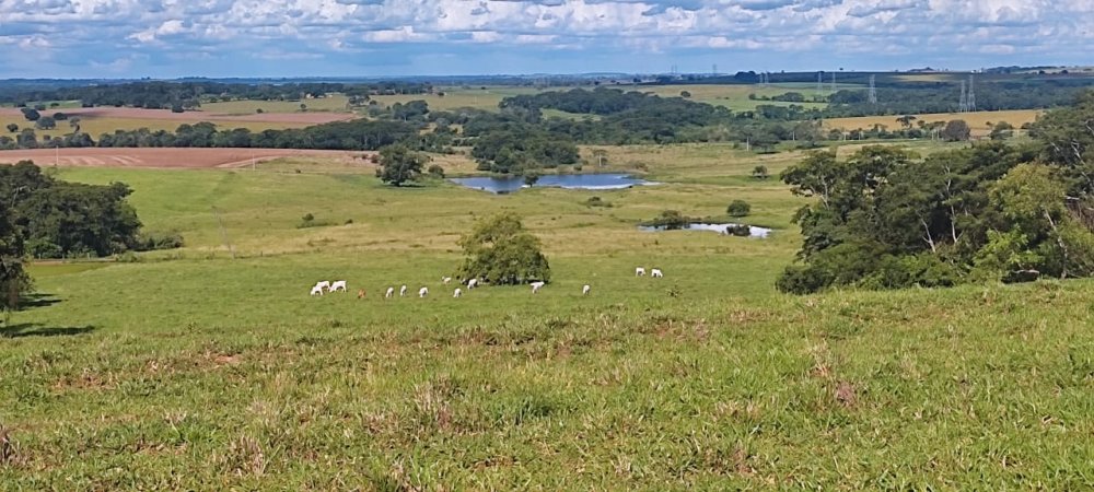 Fazenda à venda, 266m² - Foto 1