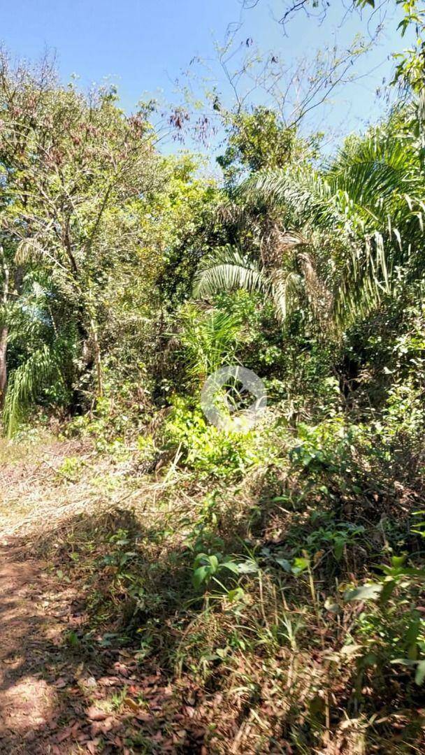 Fazenda à venda, 7170000M2 - Foto 6