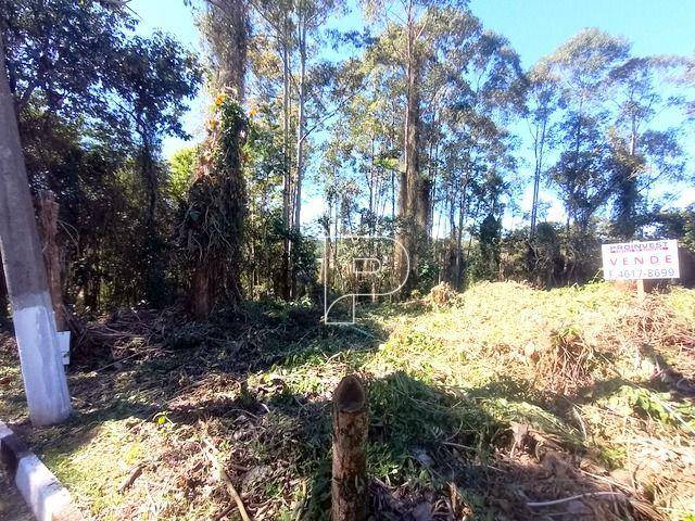 Loteamento e Condomínio, 1403 m² - Foto 5