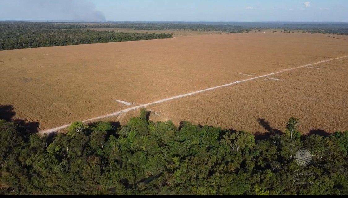 Fazenda à venda, 10510000M2 - Foto 1