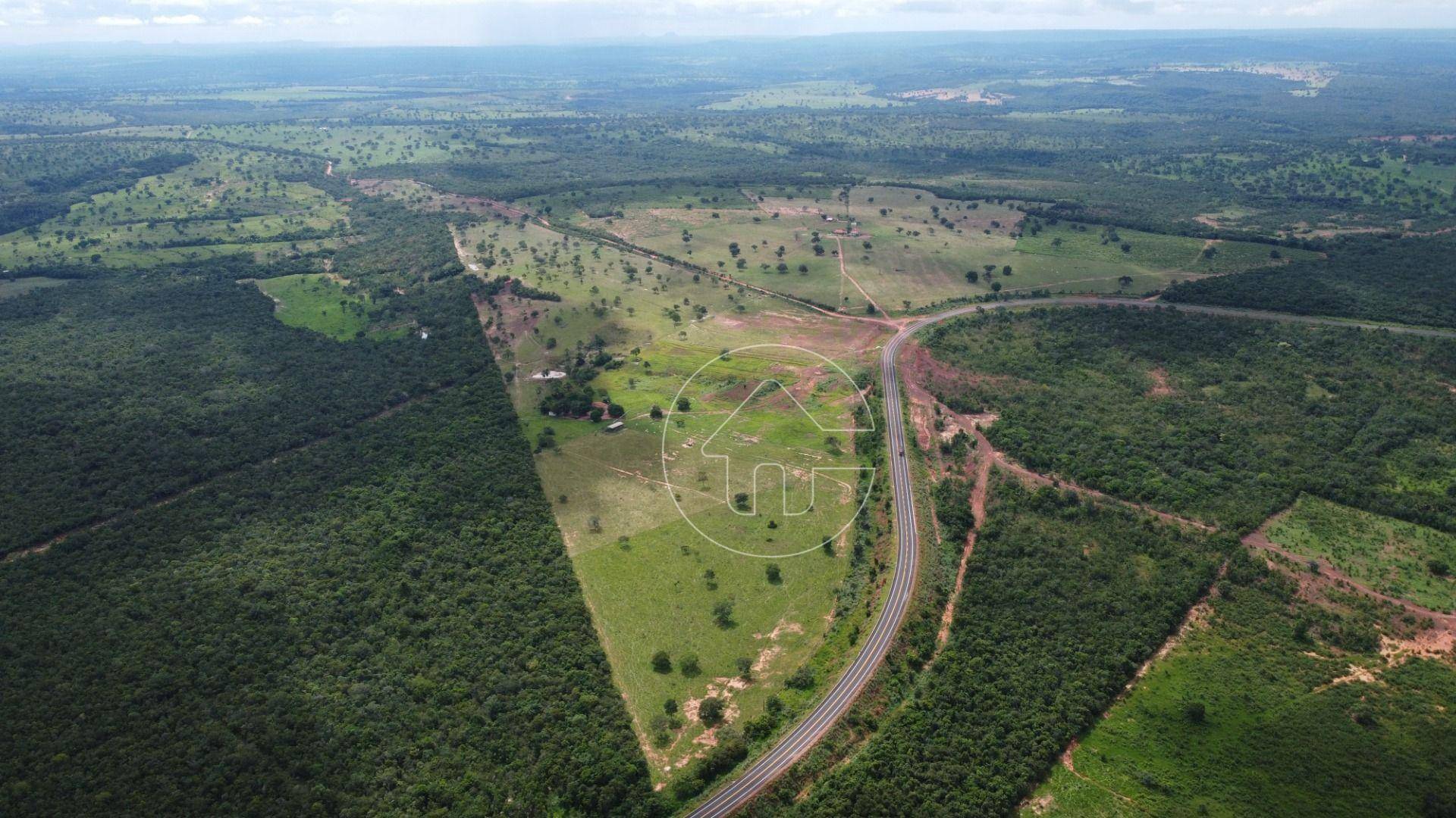 Fazenda-Sítio-Chácara, 53 hectares - Foto 1