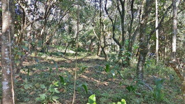 Loteamento e Condomínio à venda, 2845M2 - Foto 7