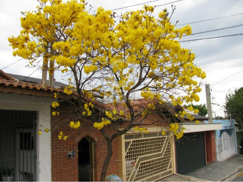 Sobrado à venda com 3 quartos, 250m² - Foto 1