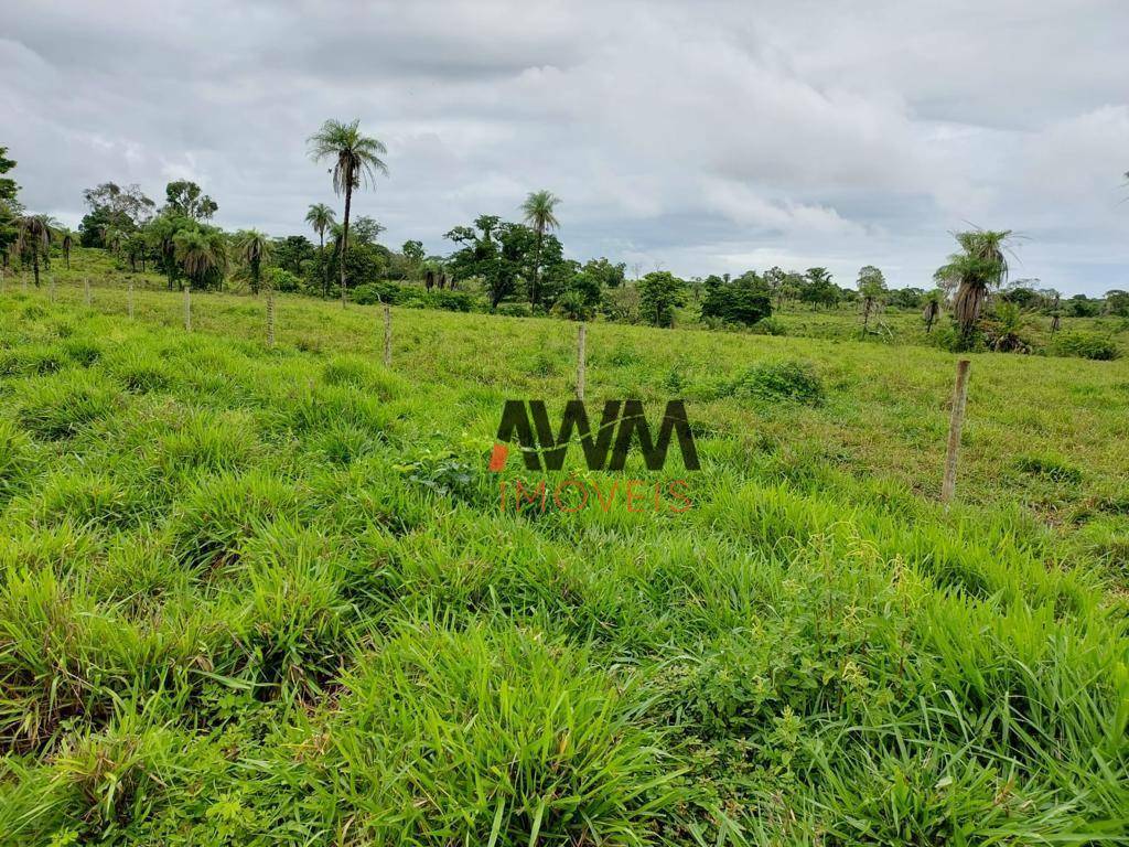 Fazenda à venda, 25748800M2 - Foto 16