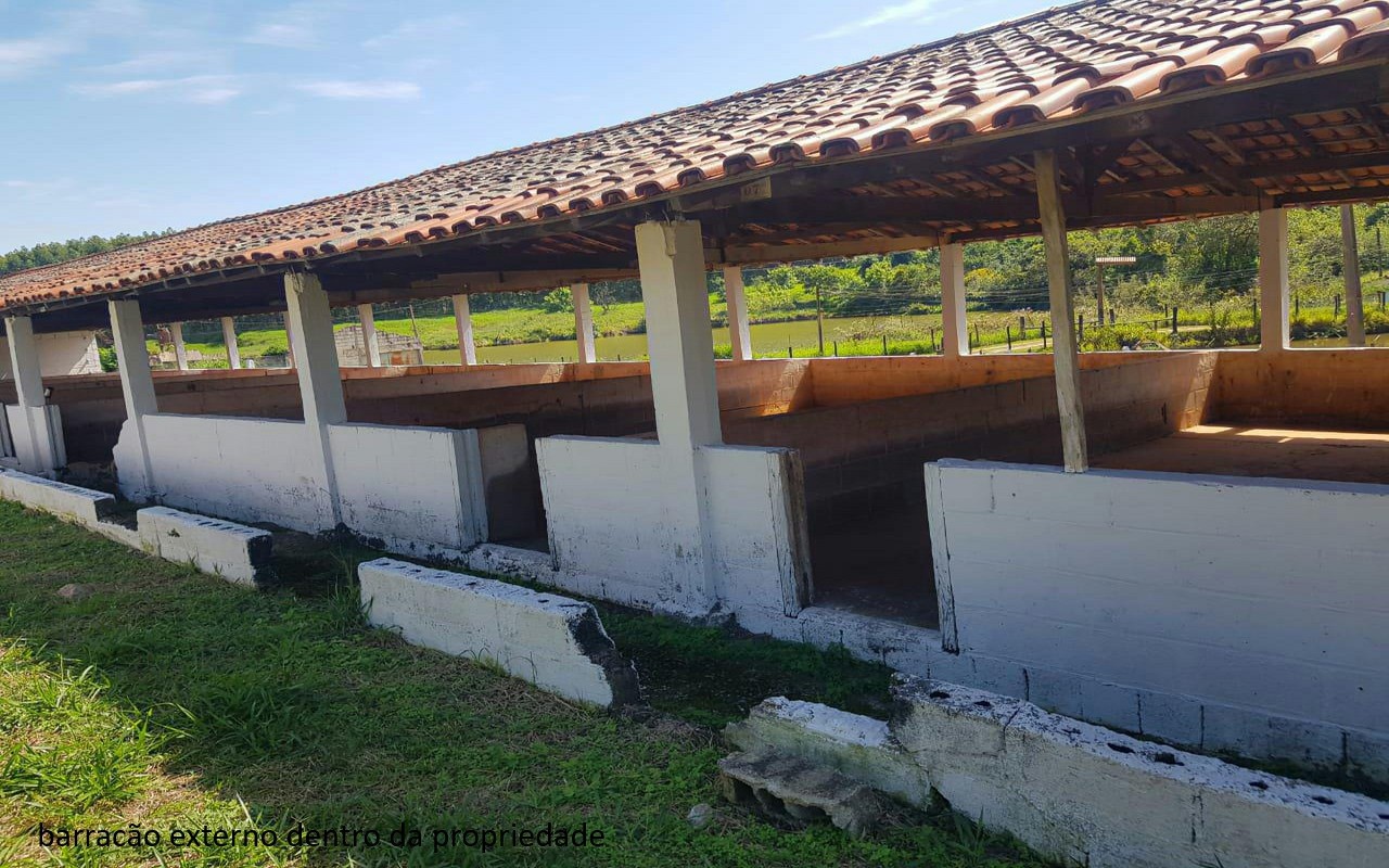 Sítio à venda com 7 quartos, 16600m² - Foto 23