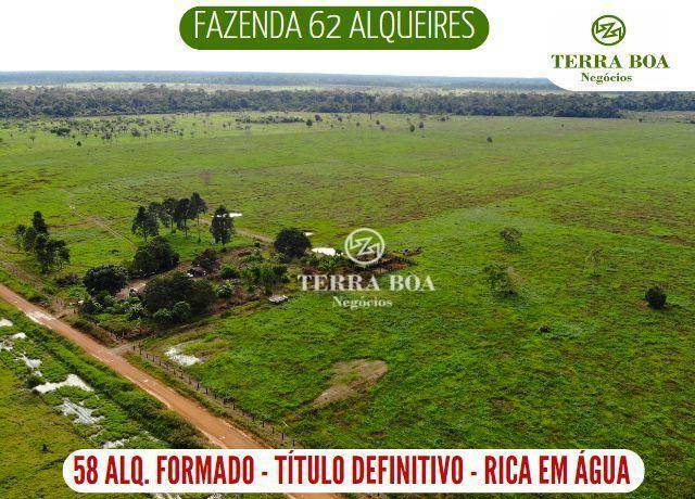 Fazenda-Sítio-Chácara, 150 hectares - Foto 1