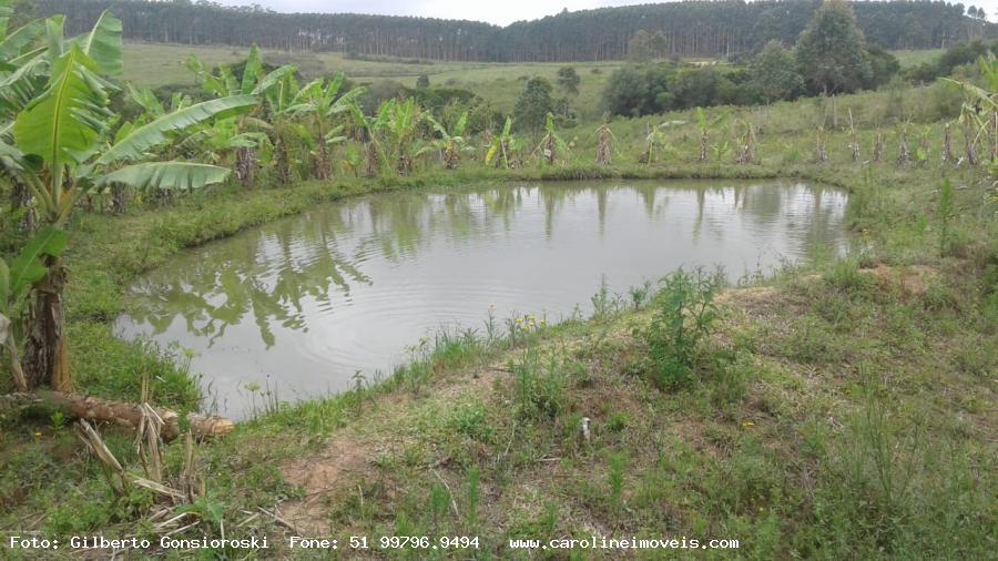 Fazenda à venda com 2 quartos, 35000m² - Foto 7