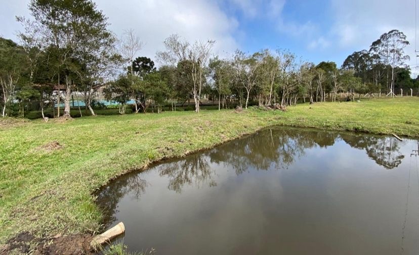 Chácara, 10000 m² - Foto 3