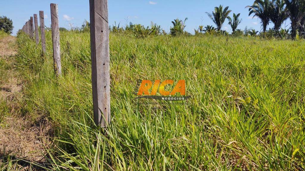 Fazenda à venda com 2 quartos, 1110000M2 - Foto 26