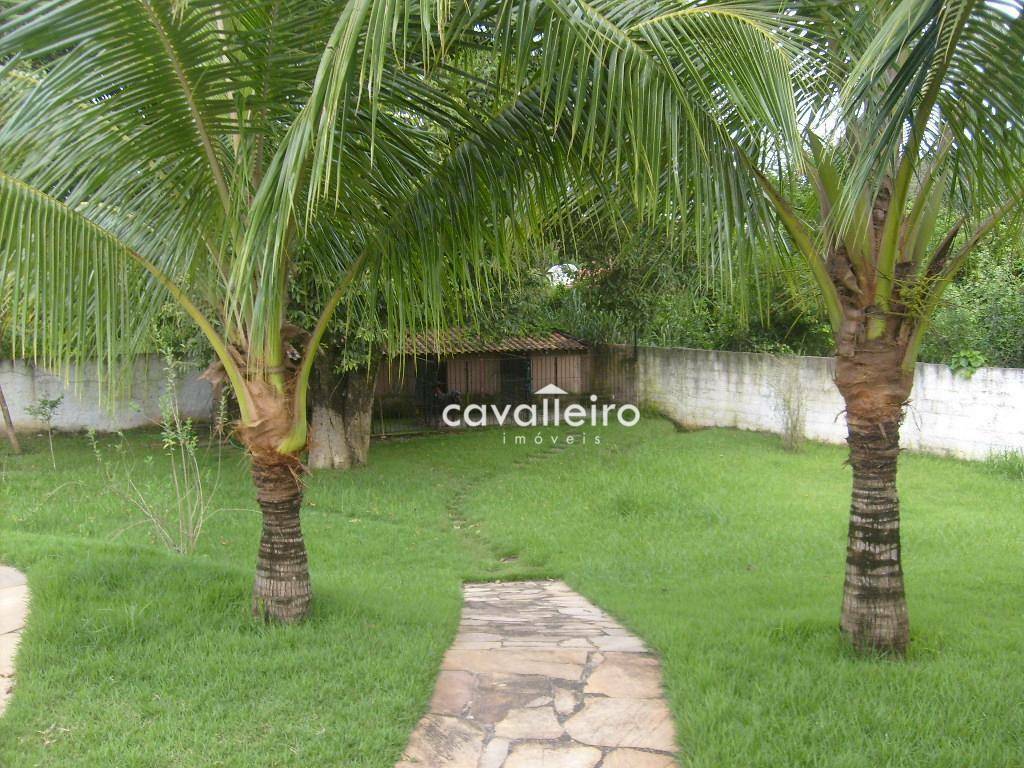 Casa à venda com 5 quartos, 750m² - Foto 66