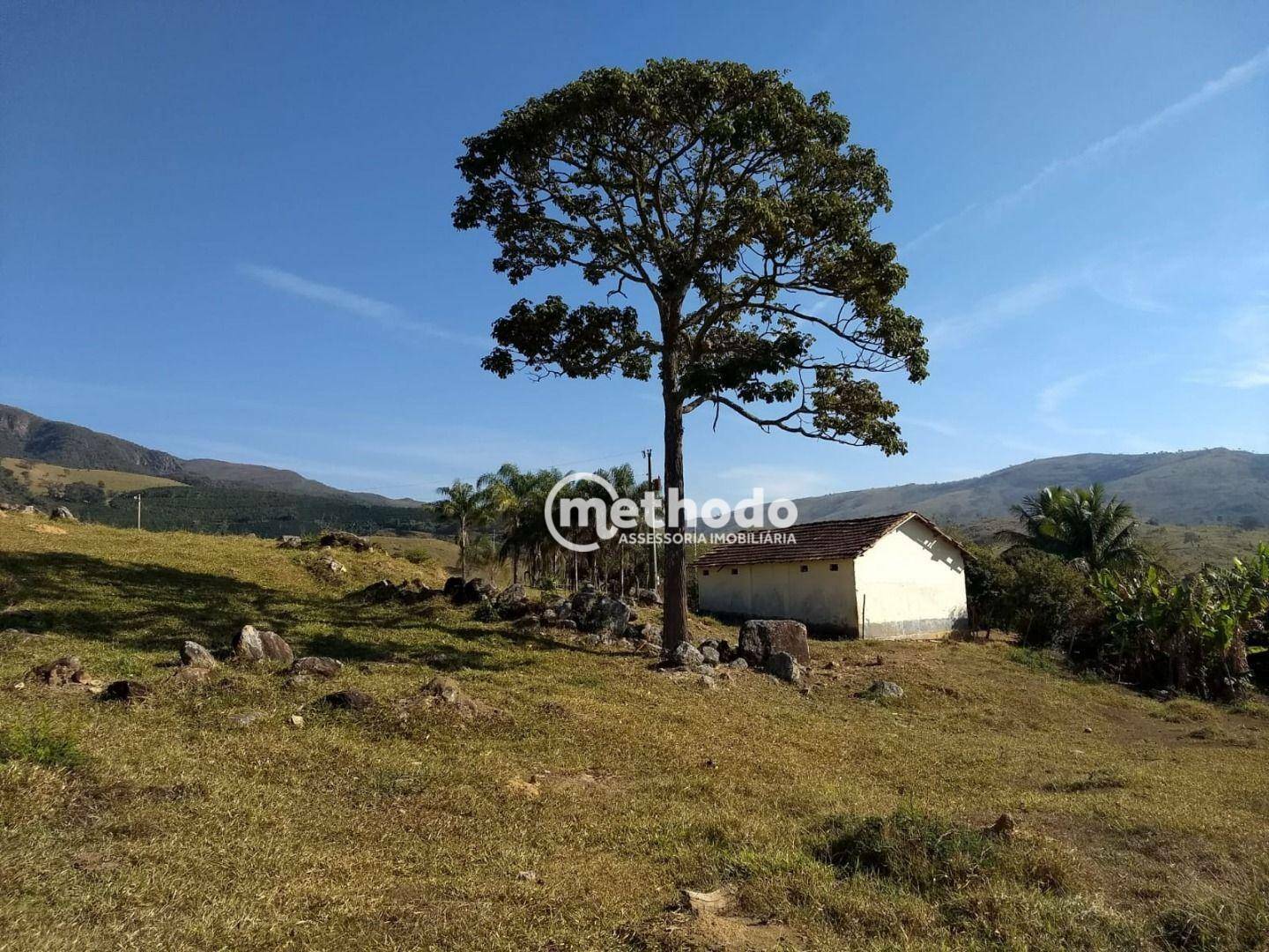 Fazenda à venda com 3 quartos, 123m² - Foto 9