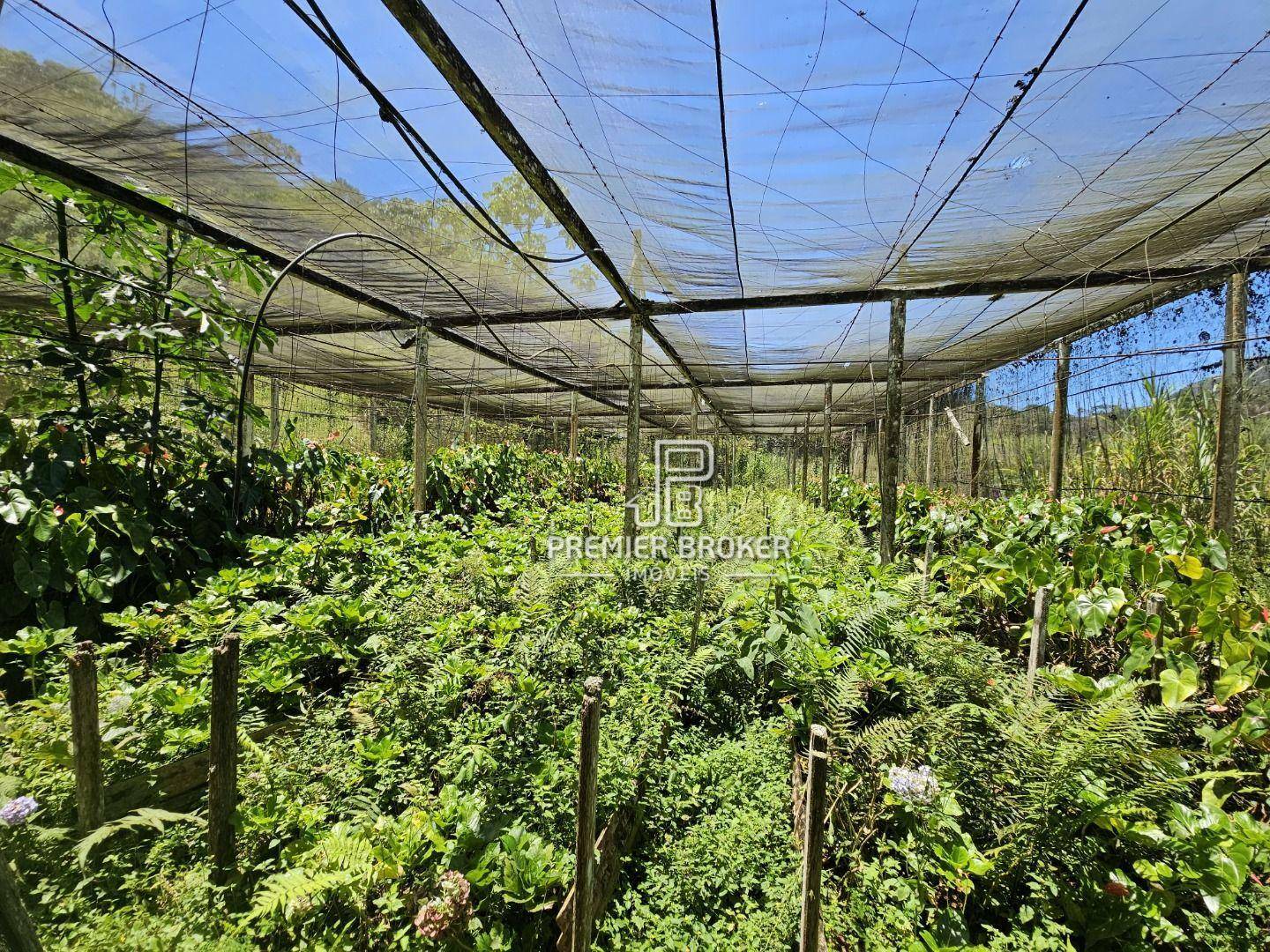 Sítio à venda com 5 quartos, 2500m² - Foto 11